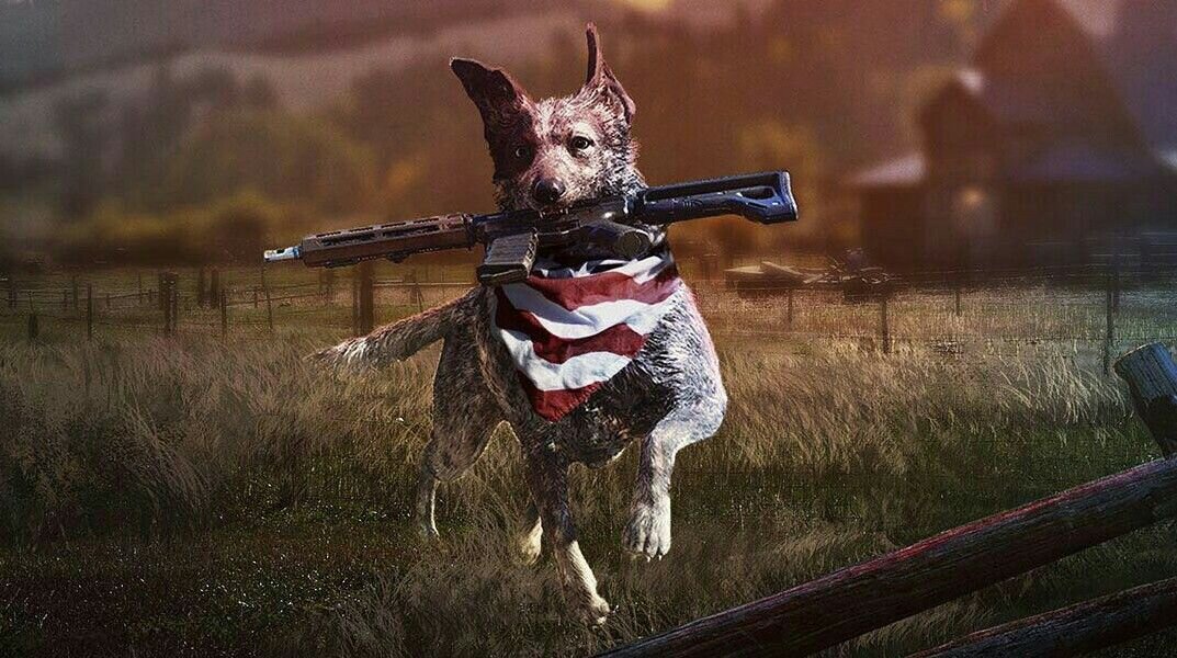 Картинки из far cry 5