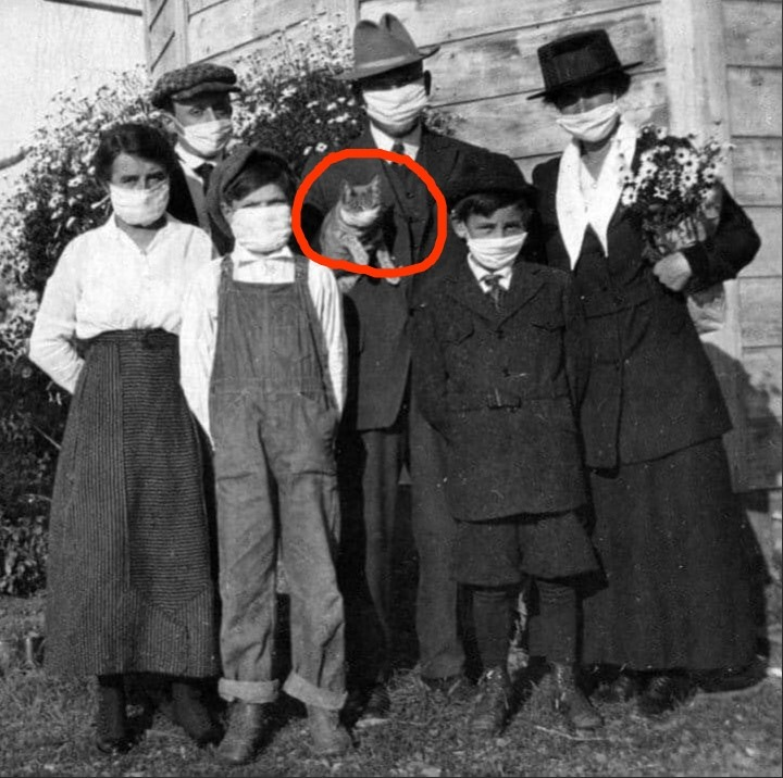  Фотография столетней давности, где наблюдается семья с масками, перед лицом тогдашнего так называемого "испанского гриппа", как они также защищали своего кота Мичи.                                                                                                                                                                                                               За подписку вобла с Астрахани со скидкой, моего домашнего качества.#рыбавобла #Астраханскаявобла #вкуснаярыбка #воблаотирины #воблапороссии #вобланазаказ #воблаастраханская #рыбкаастрахань #вкуснаярыбка        https://vk.com/club194213522