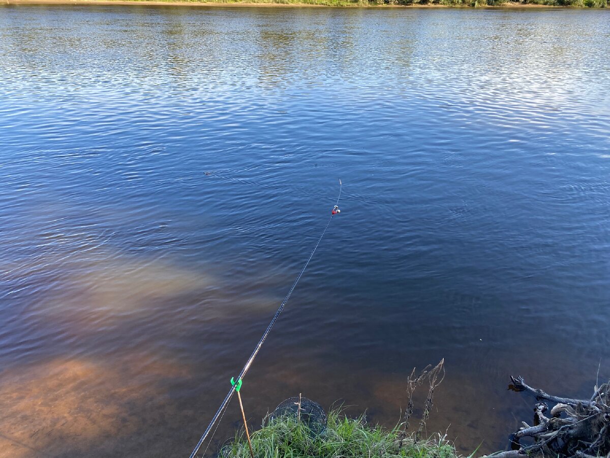 Предпочитаю белую рыбу 