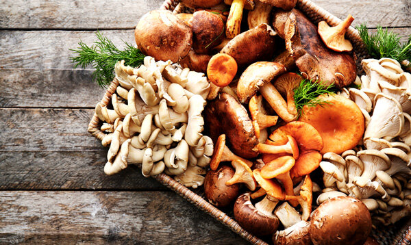 Грибная диета или какие грибы помогают в снижении веса