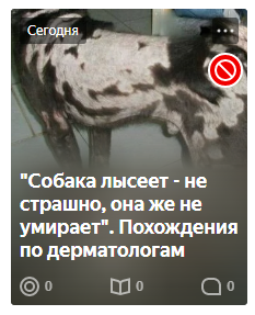 Скриншот из редактора Дзена