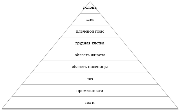 Части тела, в которые поступают сигналы,имеющие различное смысловое содержание