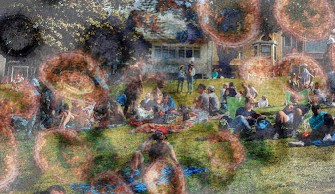 Фото: БРАЙАН Л. ФРАНК / THE NEW YORK TIMES / NIH / THE ATLANTIC