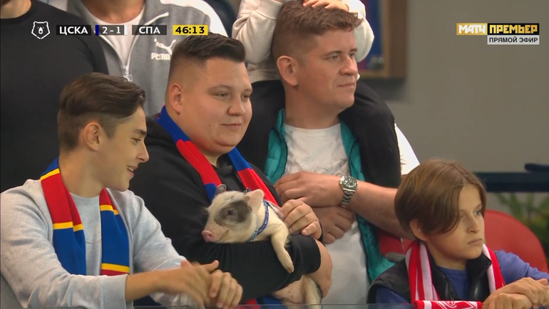 А пони не пробегал?