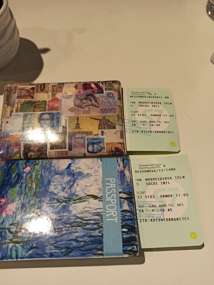 Билеты в паспортах, собаку отдали родителям. Вперёд!