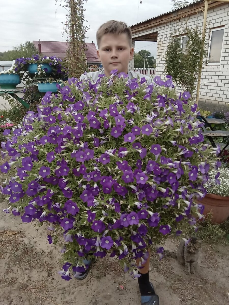 Мой помощник