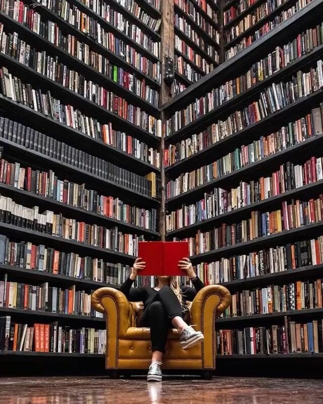 Фотографии взяты из открытых источников 