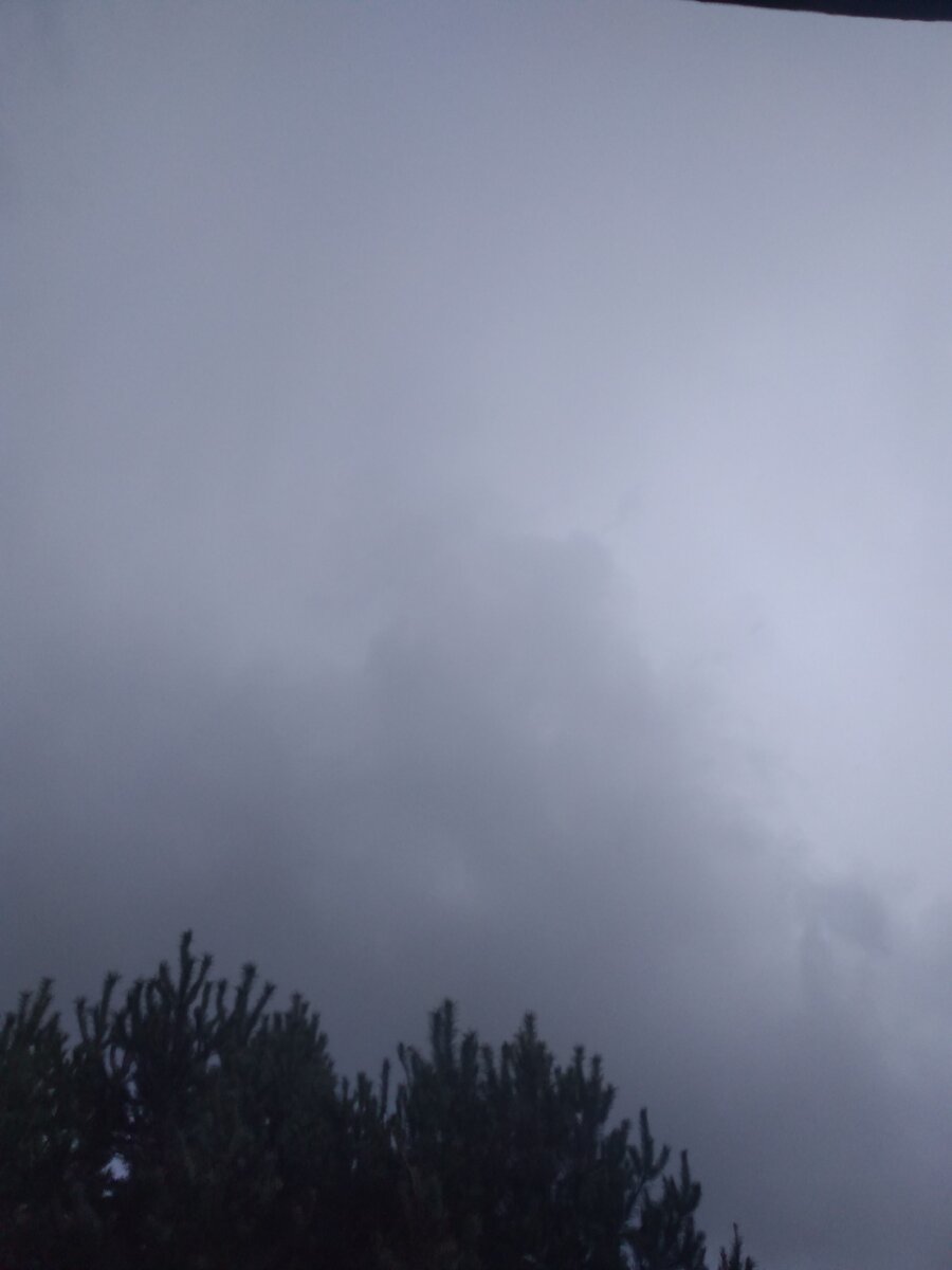 И вот так весь день: тучи, дождь и ветер.