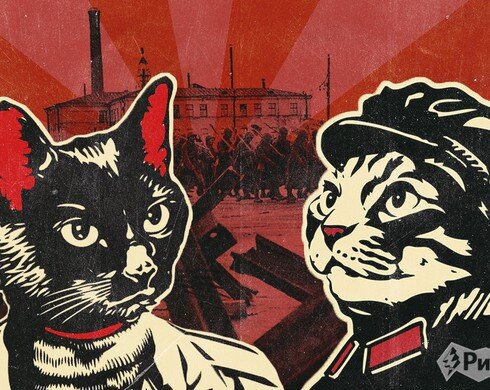  Анимация блокадных котов и кошек