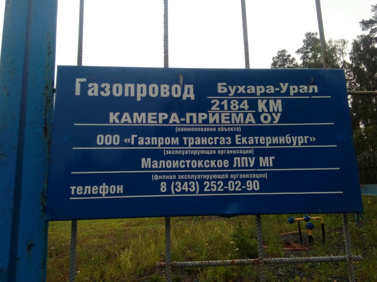 Екатеринбург: по лесам и болотам у Ново-Свердловской ТЭЦ | УЕЗДНЫЕ ЗАМЕТКИ  | Дзен