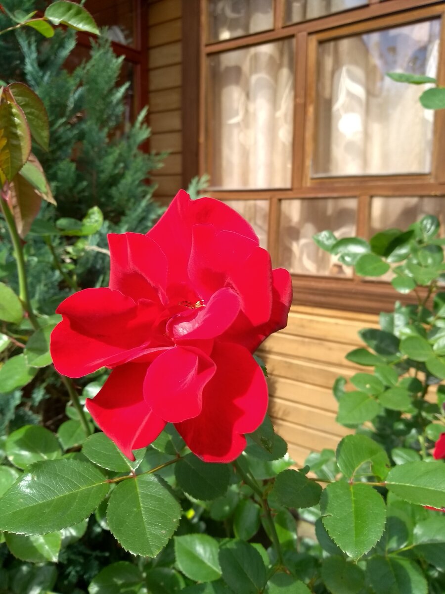 Фото из личного архива