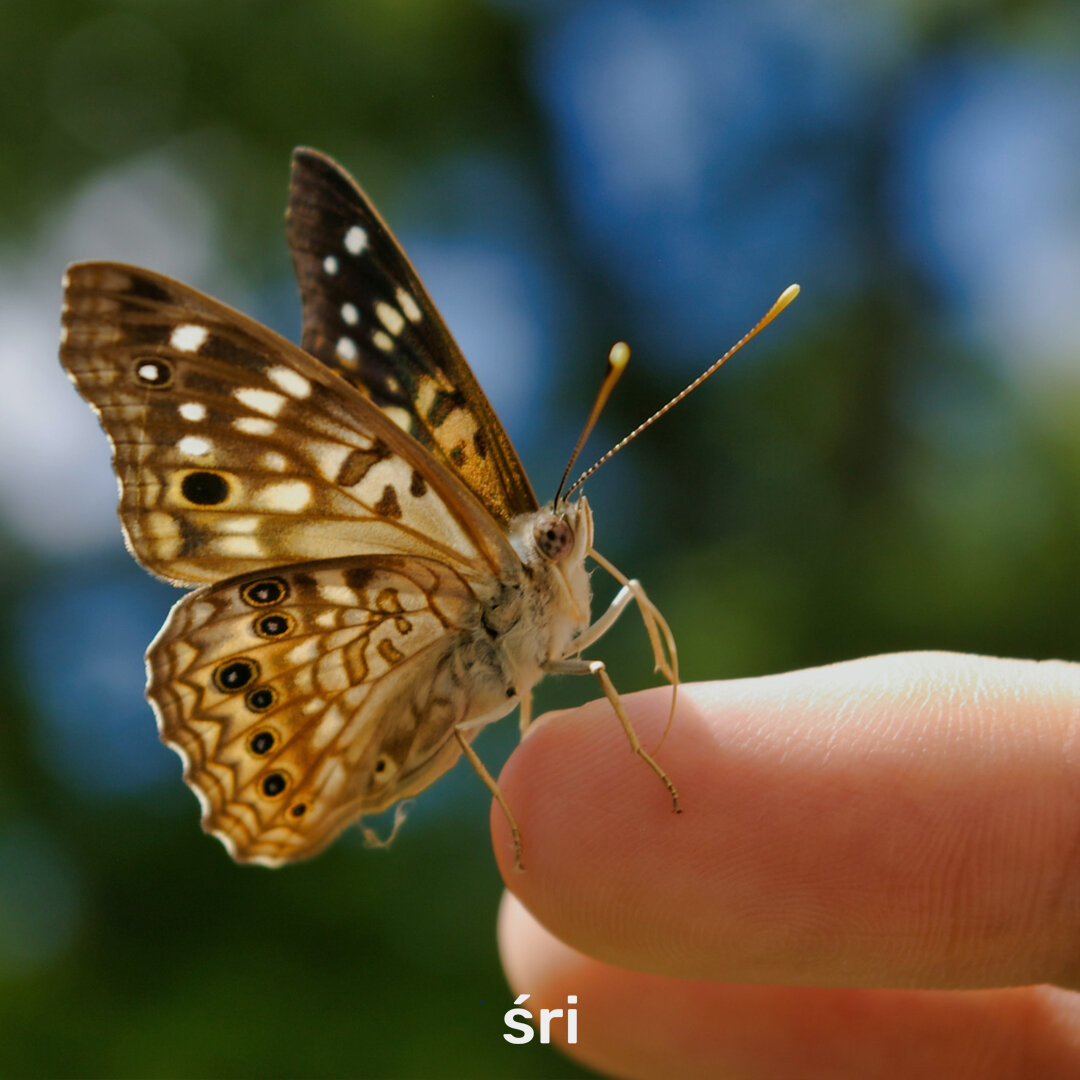 Почему мы боимся медитировать