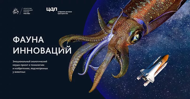 Источник: официальный сайт акции