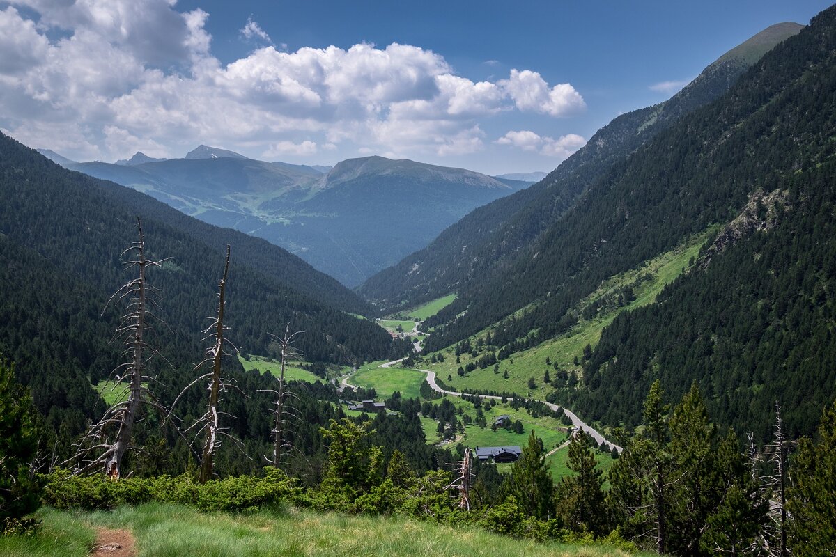 Источник: https://pixabay.com/