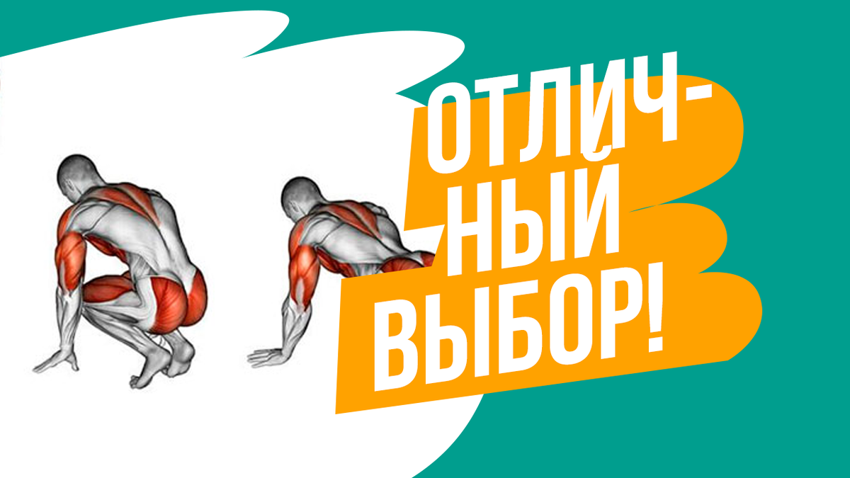 Идеальное упражнение на все мышцы тела