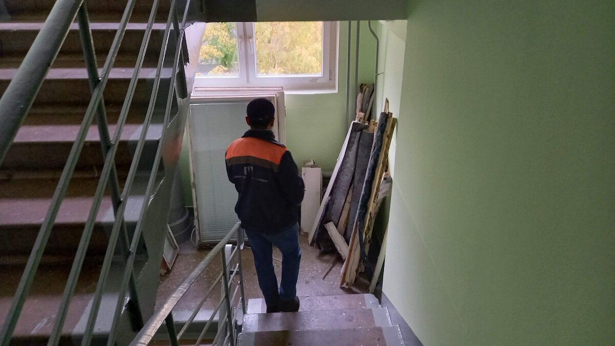 Пришли за окнами. Фото автора.