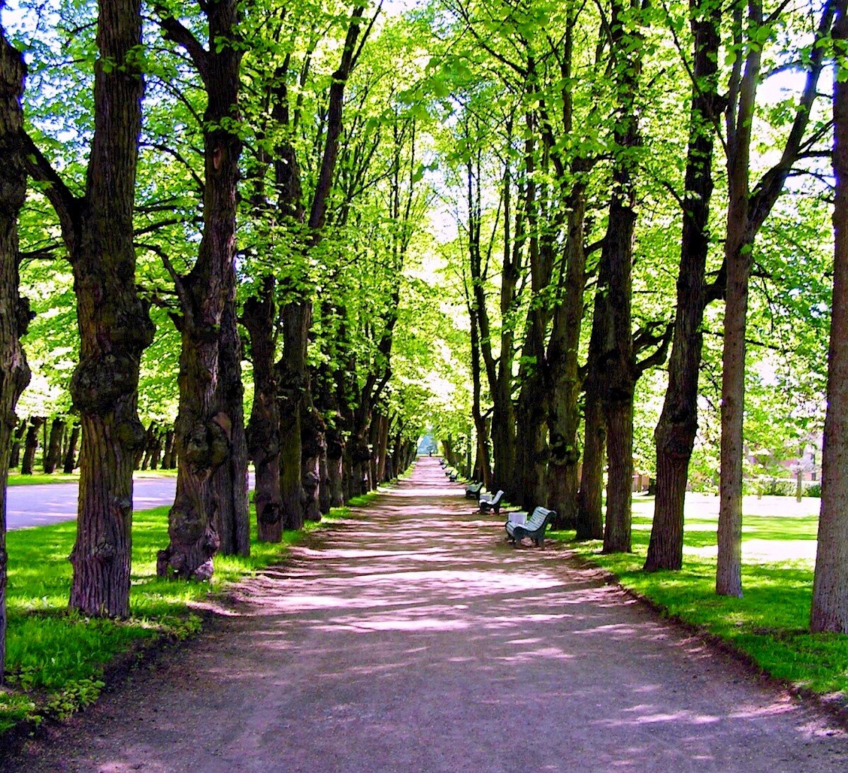 аллеи парки