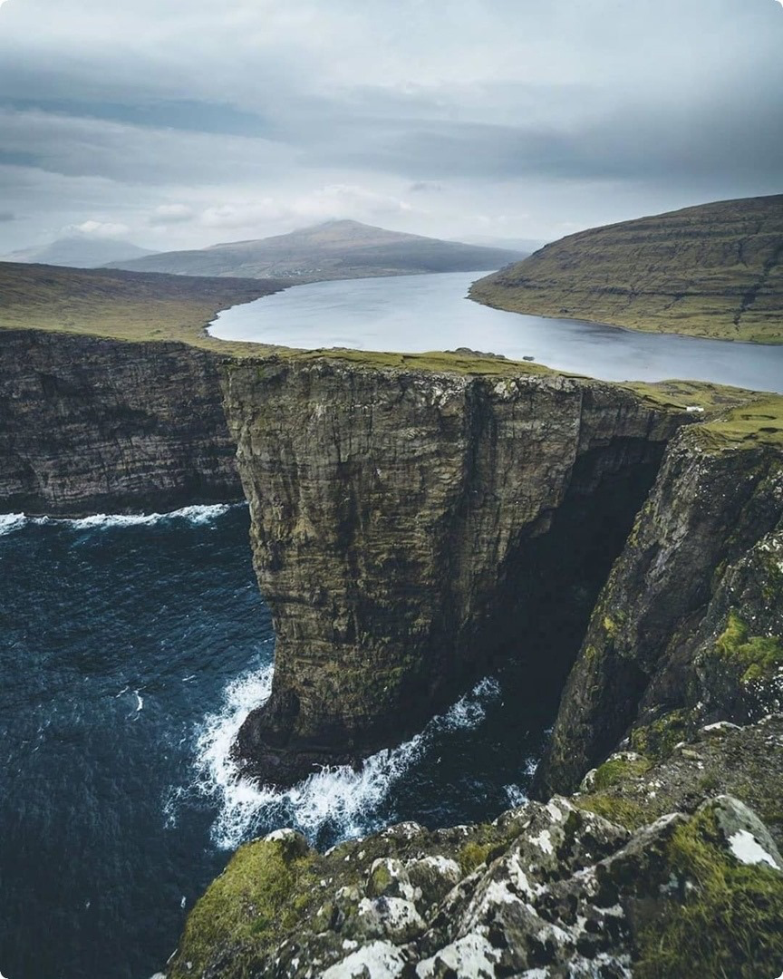 Источник иллюстрации – Викимедиа. 