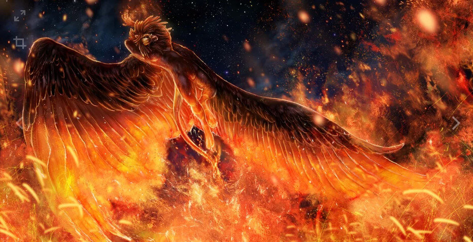 Фото взято из открытых источников в интернете