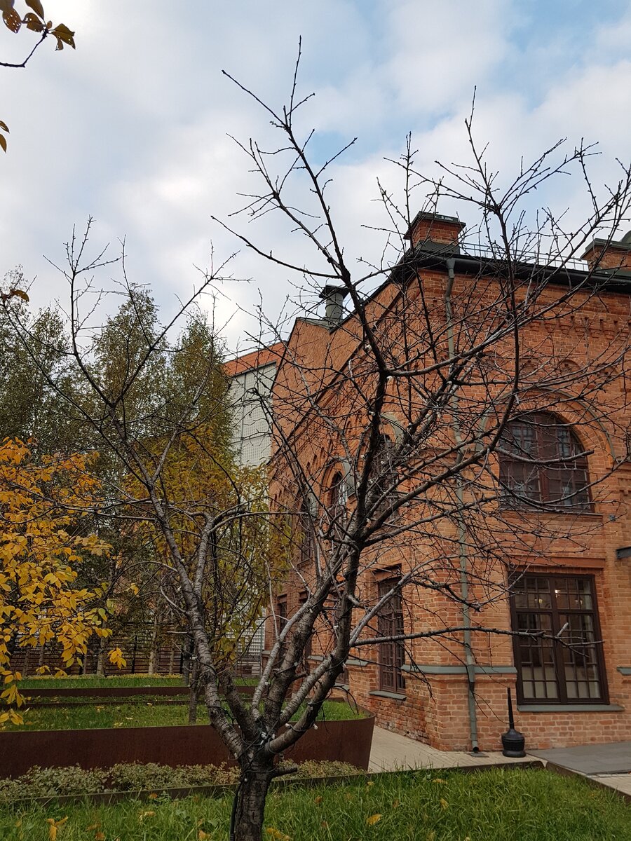 Дворик и здание БЦ "Фабрика Станиславского". Атмосферно, правда?