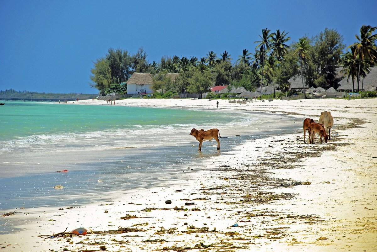 Это тоже Занзибар.