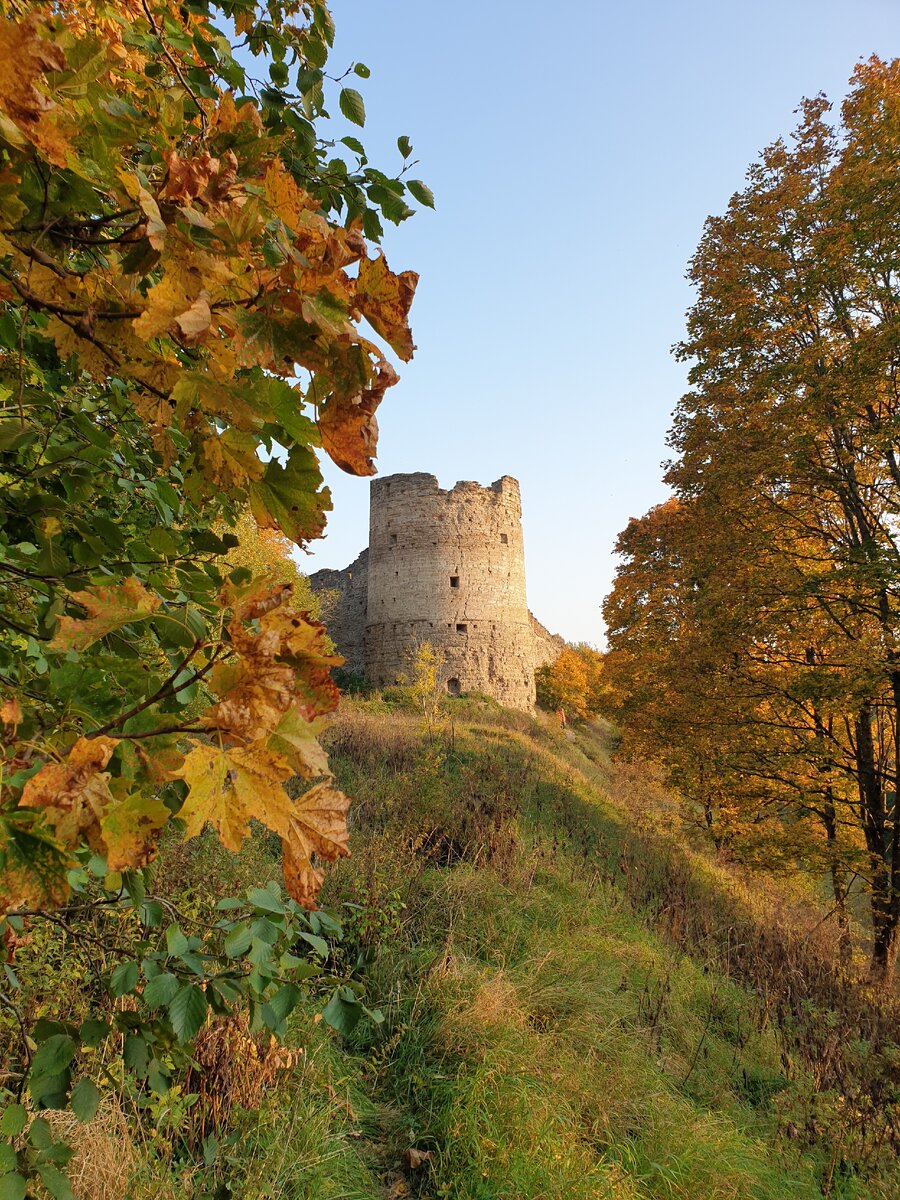 Фотография, сделанная автором