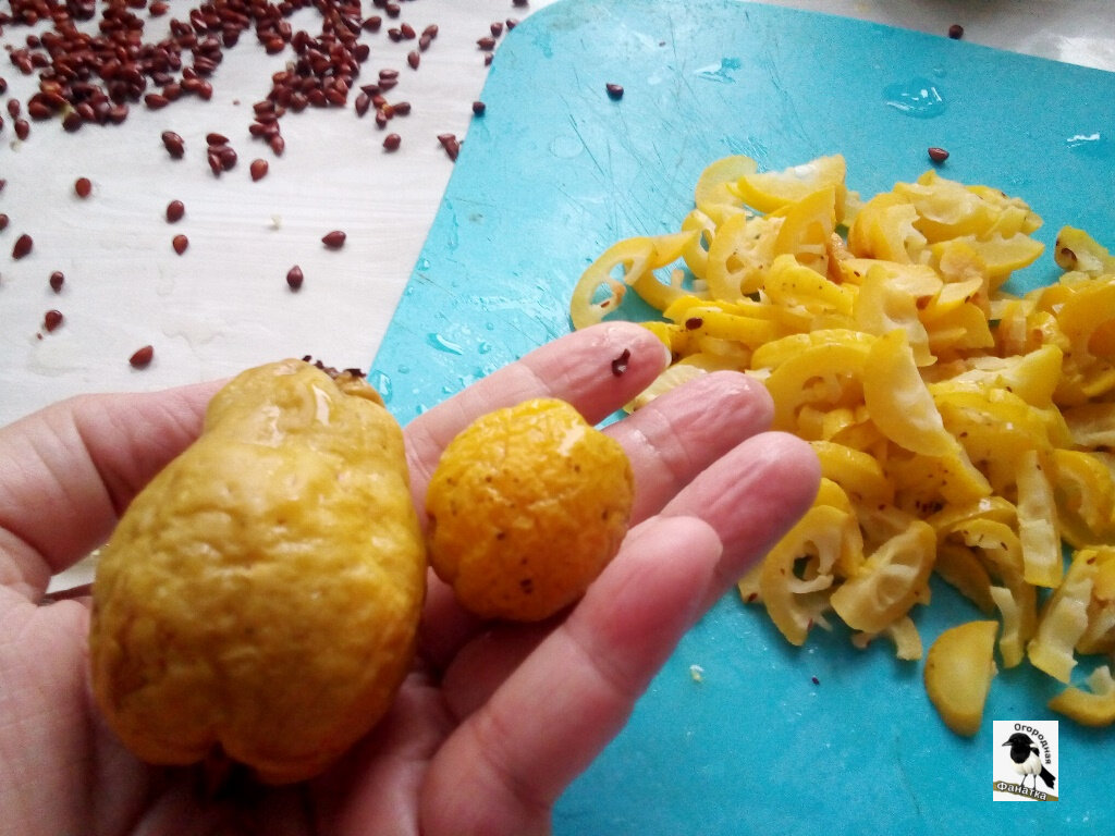 Крупных плодов мало. Но очень много мелких, потому что цветы не обрываем