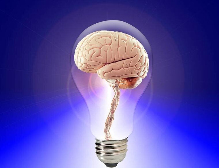Вырабатываемой мозгом человека энергии действительно хватило бы для питания обычной лампочки