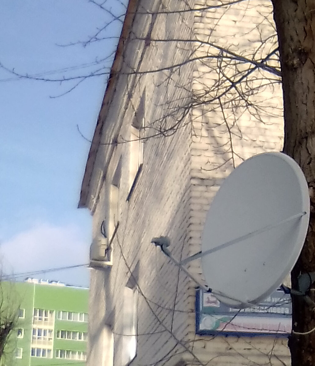 Спутниковая антенна с конвертором