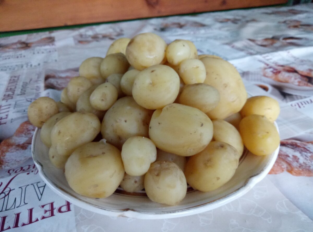 июльская картошечка,