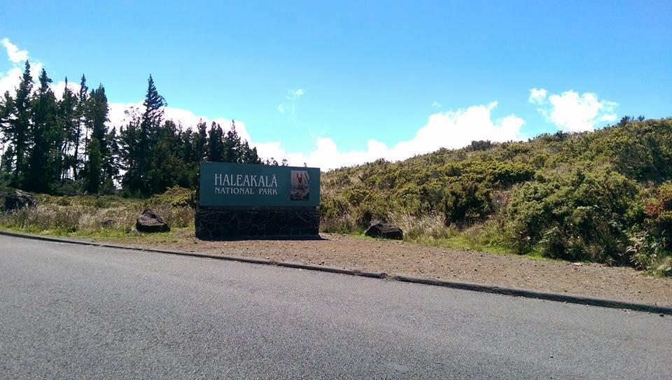 Фото автора.