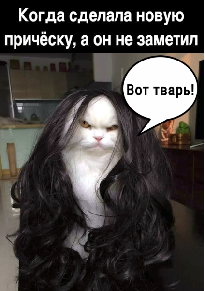Когда сделала новую причёску, а он не заметил. - Вот тварь!
