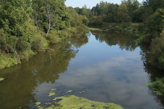 (Жиздра, Яндекс картинка)