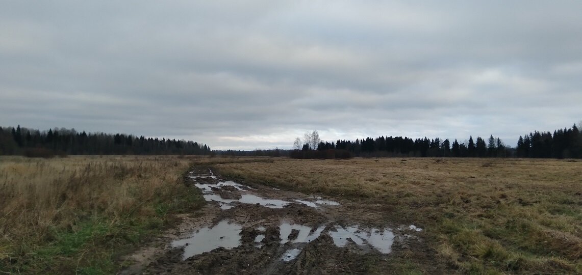 Последний километр до нашей дачи. Фото автора