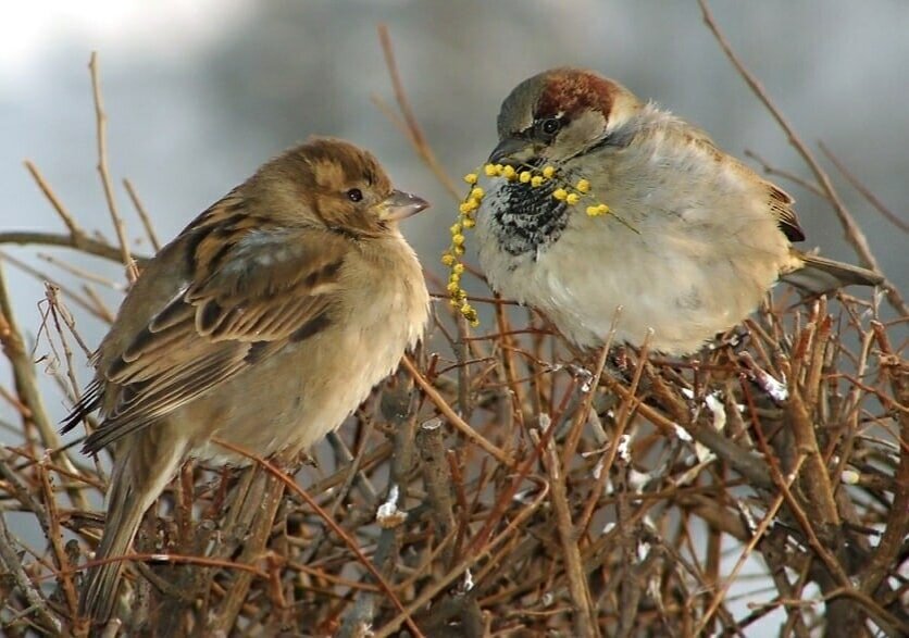 фото использовано в качестве иллюстрации. Источник "Яндекс.Картинки"