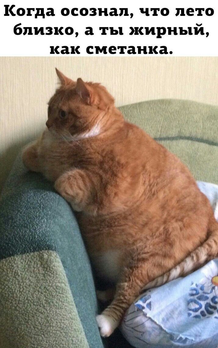 Можно я просто буду котиком? 