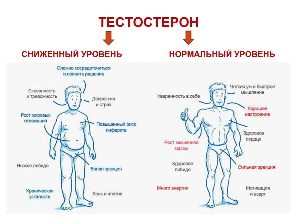 Тестостерон у мужчин. Уровень либидо у мужчин. Высокое либидо у мужчины. Тестостерон как влияет. Таблетки для повышения либидо для мужчин.