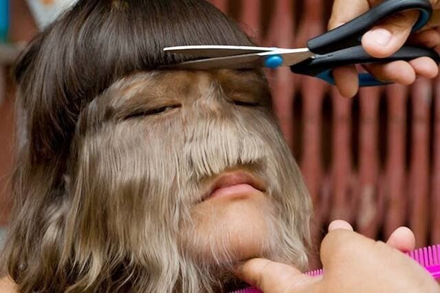 (Источник заимствования - ресурсы мировой сети)