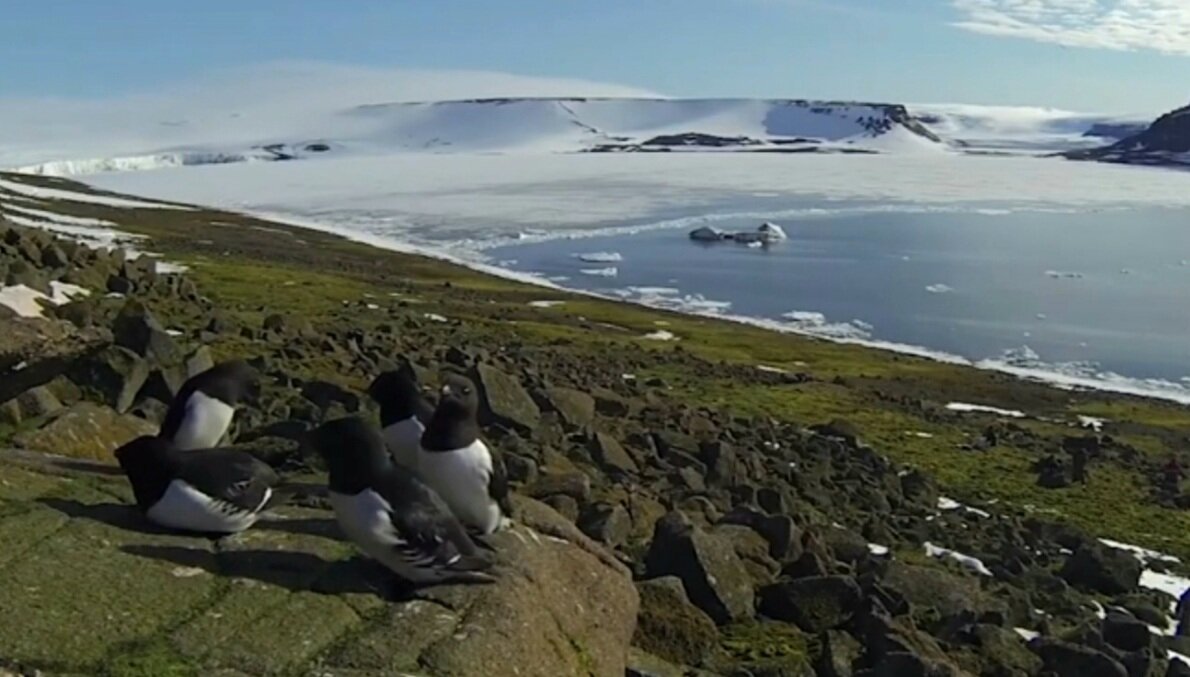 На Земле Франца-Иосифа