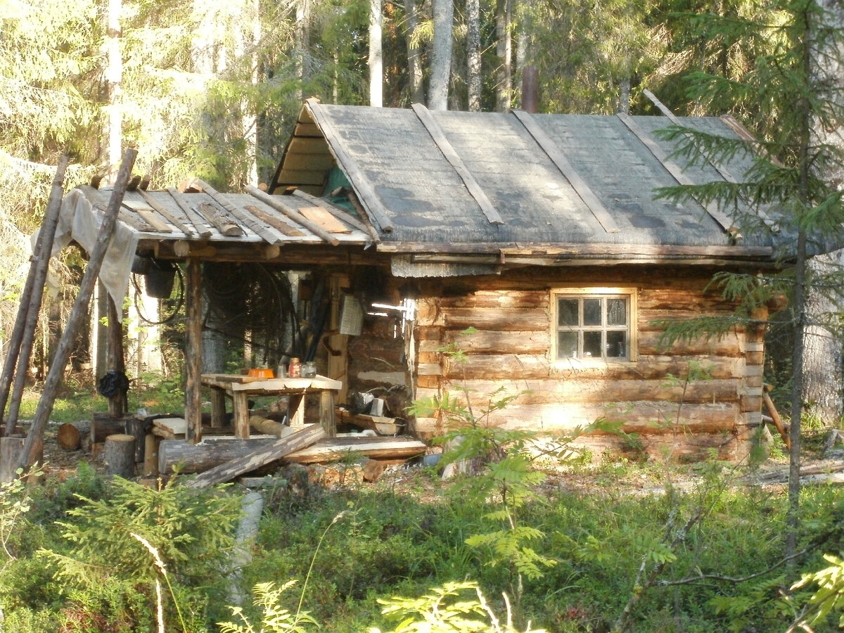 Охотничьи избы Новгородская область