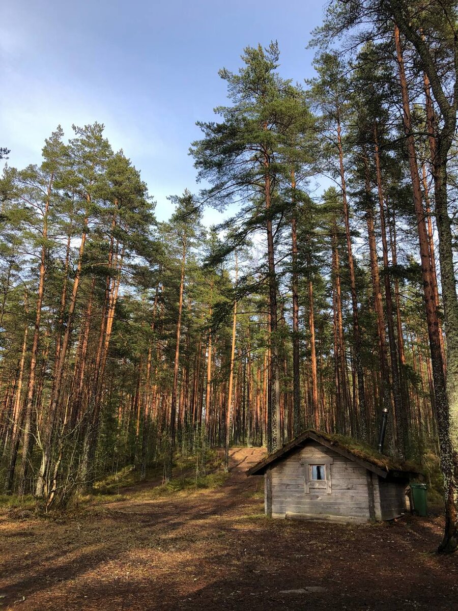 Наш домик