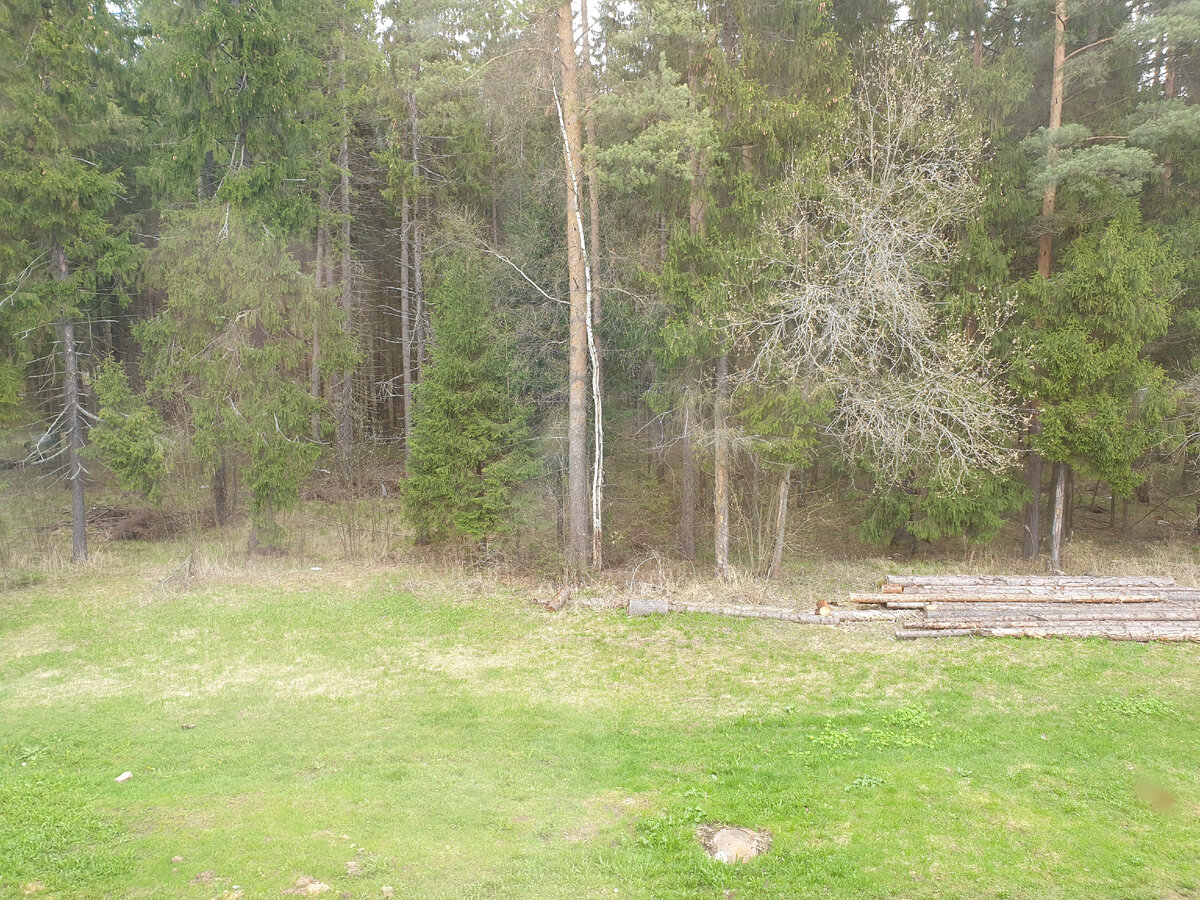 Вид из номера.