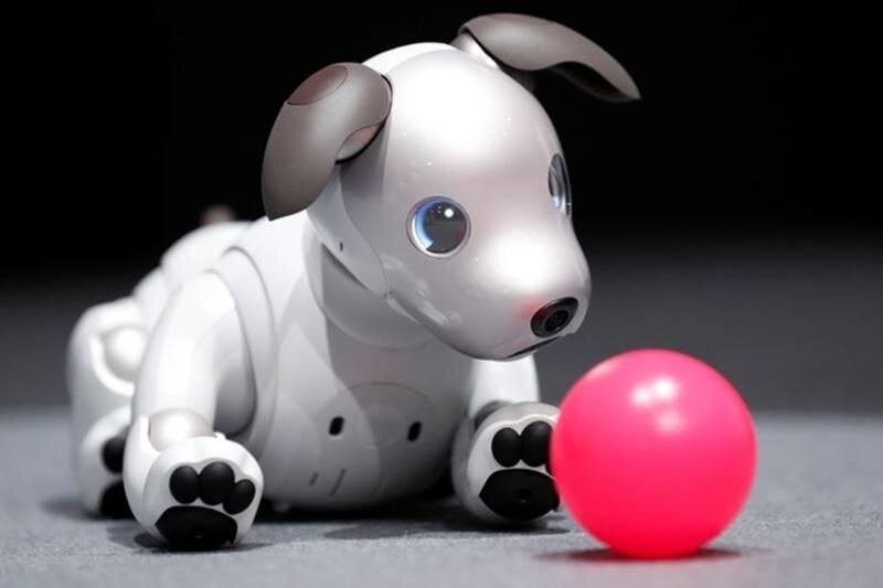 Источник фото: financialexpress.com