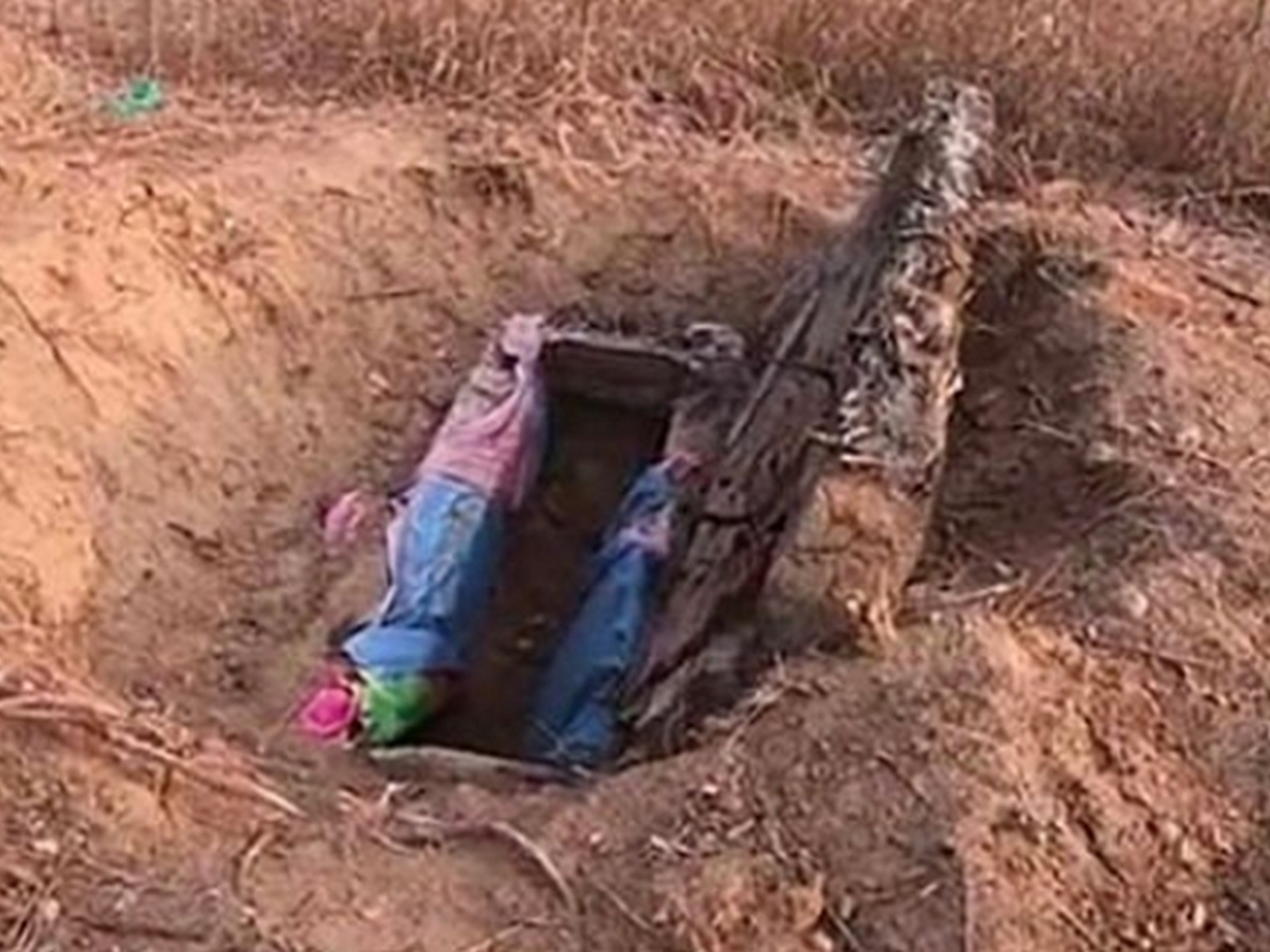 Фото взято из открытых источников