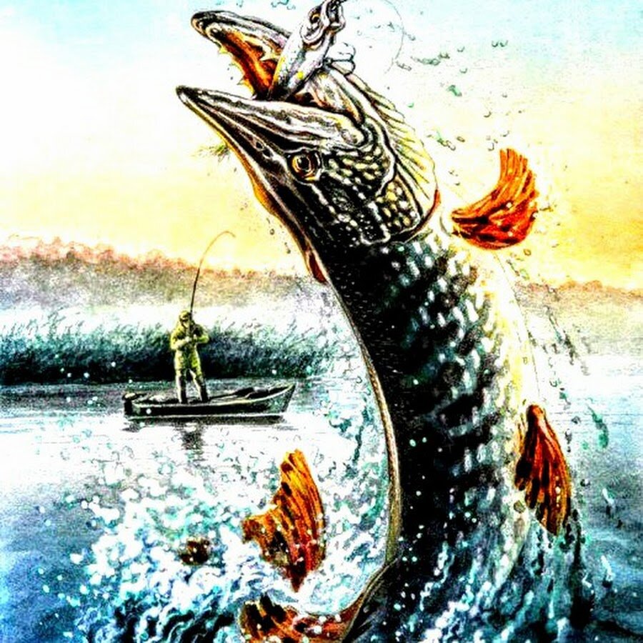 Логотип канала Рыбалка на Оке