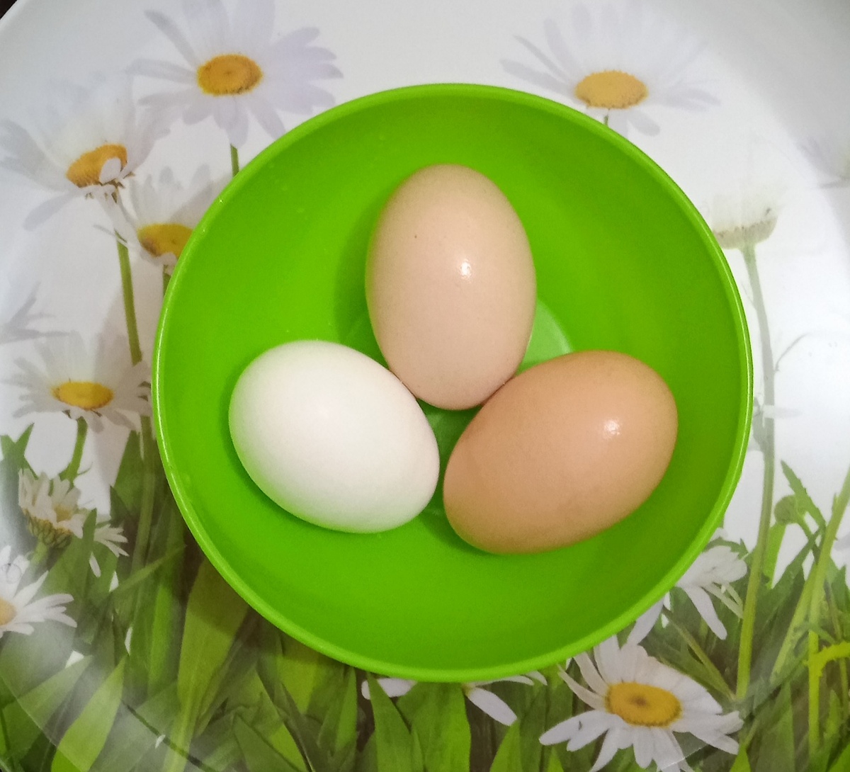 Это яички от курочек из нашей деревни) 