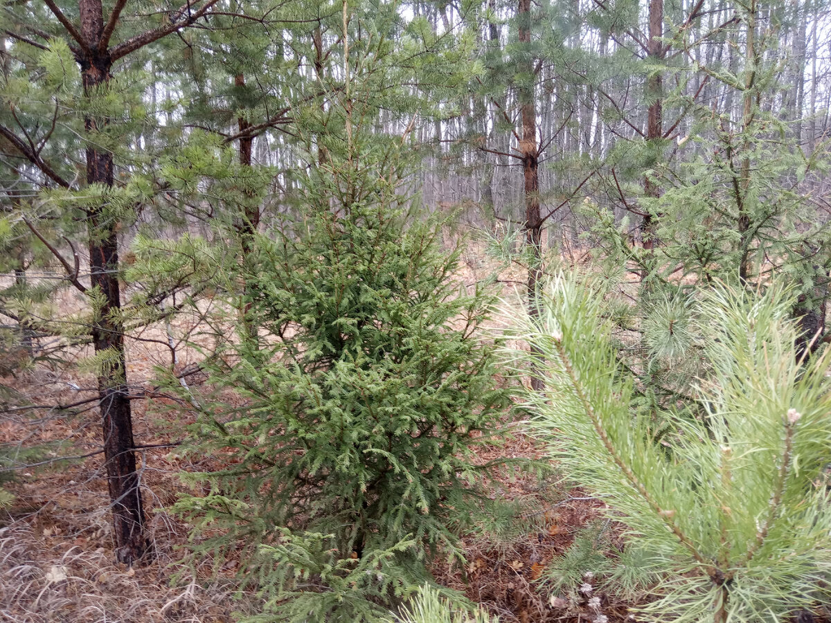 Фотография из личного архива автора