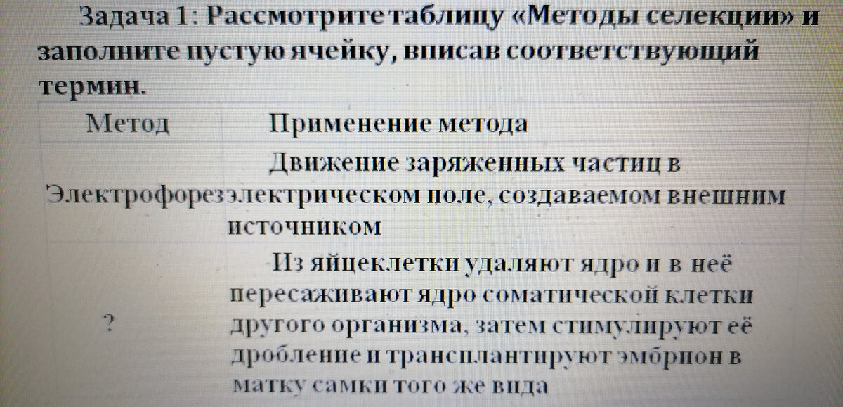 Собственные фото автора