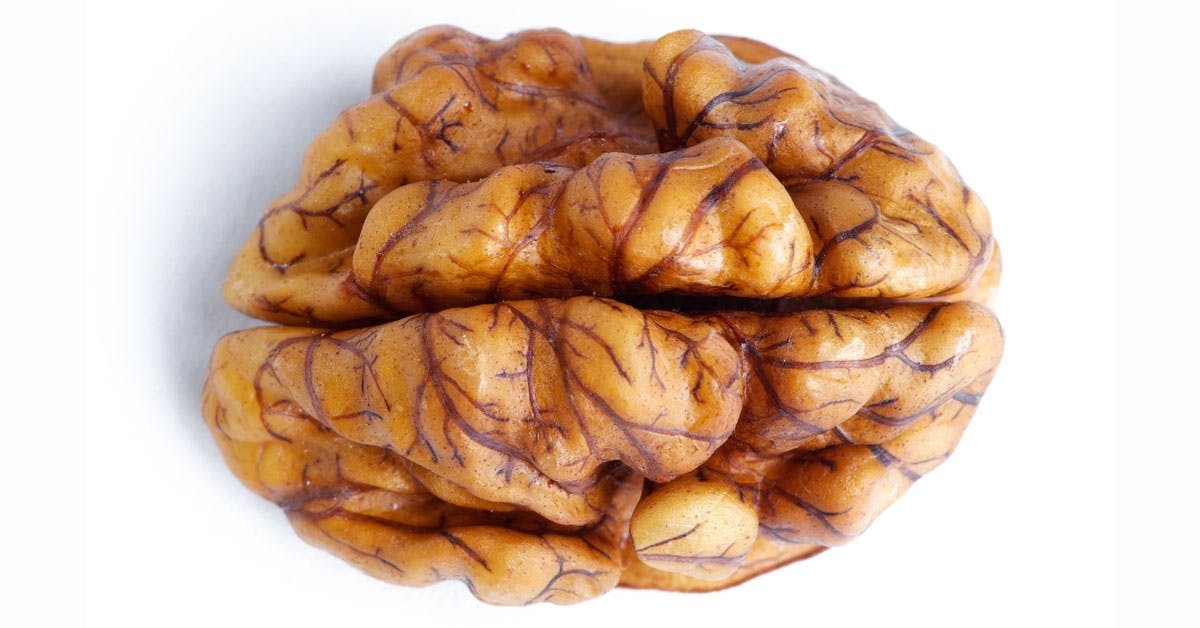 Грецкие орехи похожи на мозги. Грецкий орех и мозг. Орех грецкий. Орехи для мозга. Грецкий орех и мозги.