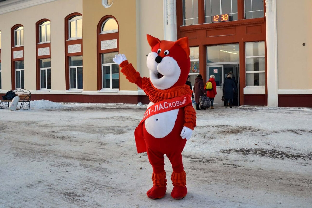 Котлас – Кот Лас – Кот Ласковый. Как Котлас превратился в Кота Ласкового, и  зачем городу такое количество Котов | Соло для журналиста с квартетом | Дзен